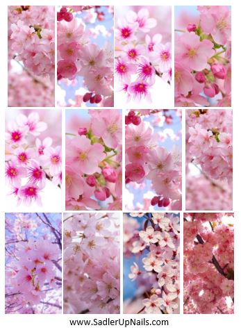 Decals - Cherry Blossoms XL - Sadler Up Nails 